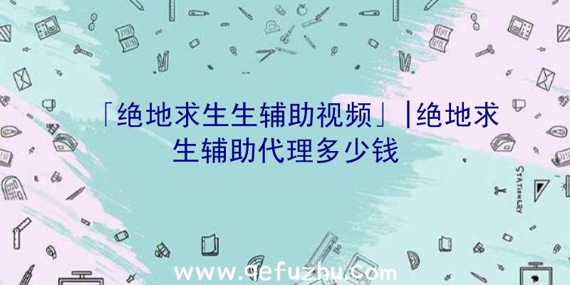 「绝地求生生辅助视频」|绝地求生辅助代理多少钱